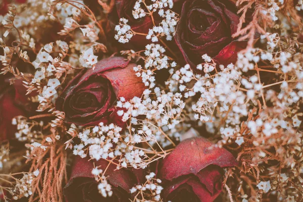 Trockene Rosen Vintage Stil Selektiver Fokus — Stockfoto