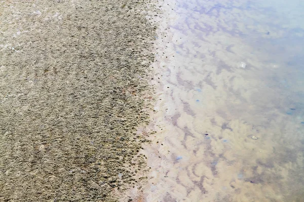 Texture Sable Après Marée Fond Naturel Rapproché — Photo