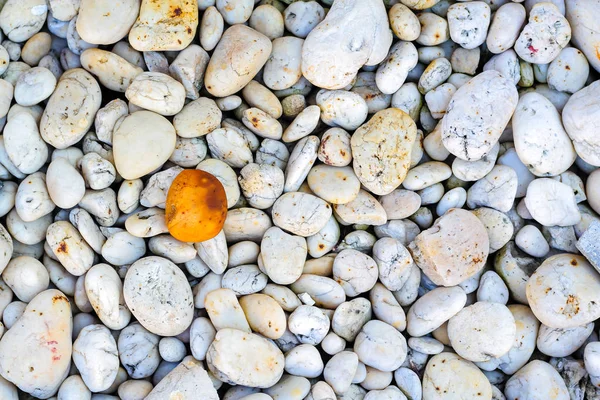 One Brown Rock Standing Out White Rock Background Concept Unique — Stock Photo, Image