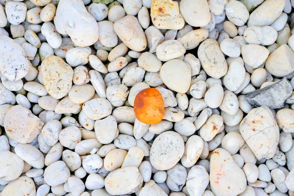 One Brown Rock Standing Out White Rock Background Concept Unique — Stock Photo, Image