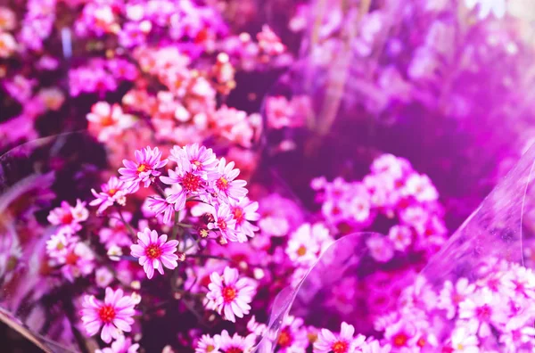 Schöne Vintage Blumen Für Hintergrund — Stockfoto