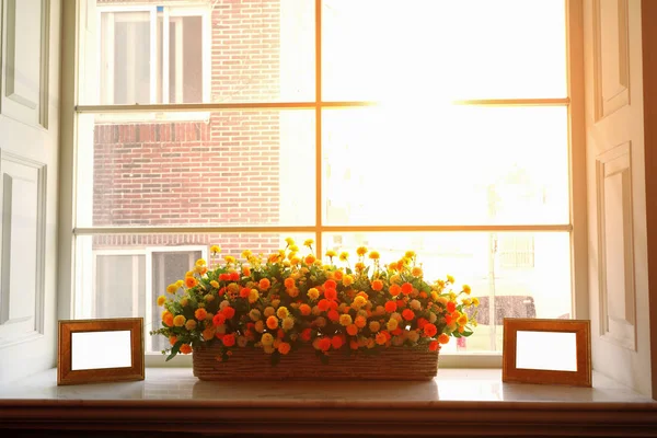 flower vases beside the window in the morning