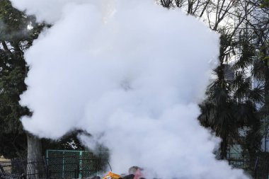 Bulunan Beppu, Oita, Kyushu, Japonya yerden dışarı-in sıcak buhar