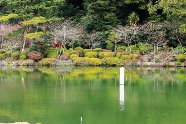 Havuz ve bahçe yeşil su ve yansıma mavi sıcak akımı ile bir su birikintisi featuring Umi Jigoku veya deniz cehenneme konumundaki su ağacı ile su, Beppu, Oita, Japonya