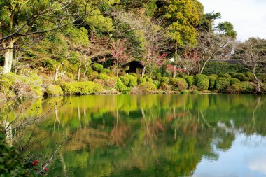 Havuz ve bahçe yeşil su ve yansıma mavi sıcak akımı ile bir su birikintisi featuring Umi Jigoku veya deniz cehenneme konumundaki su ağacı ile su, Beppu, Oita, Japonya.