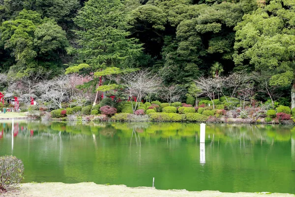 Rybníček Zahradu Zelenou Vodou Reflexe Stromu Vodě Moře Nebo Umi — Stock fotografie