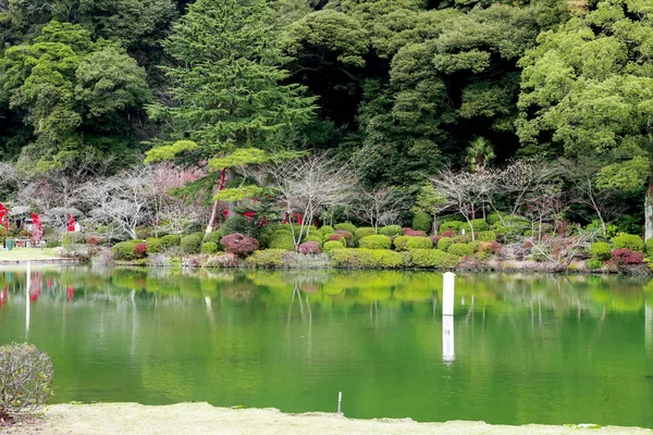 池と緑水と青ホット ストリームと池を備えた海地獄や海地獄にある水の木の反射の庭園水 大分県 — ストック写真