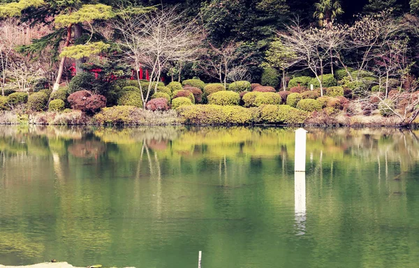 Pond Garden Green Water Reflection Tree Water Located Umi Jigoku — Stock Photo, Image