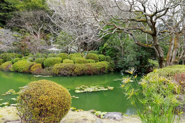 Pond Garden Green Water Reflection Tree Water Located Umi Jigoku — Stock Photo, Image