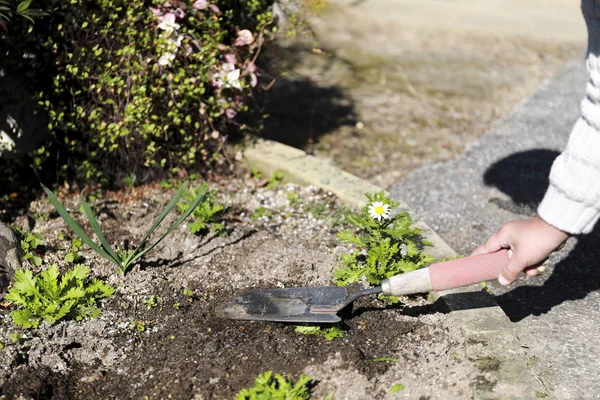 Çocuk elinde kürek Bahçe