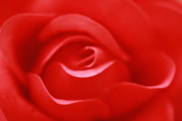 Rosa Vermelha Para Fundo — Fotografia de Stock