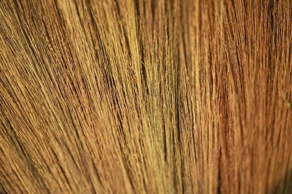 Close Thai Grass Broom Background — Stock Photo, Image