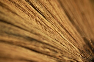 Close Up Tay ot süpürge arka plan