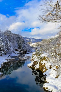 Kar düşen gün Gifu Chubu Japonya ile shirakawago Köyü