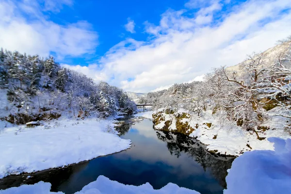 Shirakawago Villaggio Con Neve Che Cade Giorno Gifu Chubu Giappone — Foto Stock