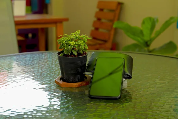 Mobile Phone money wallet and pots of green leave are on the glass table