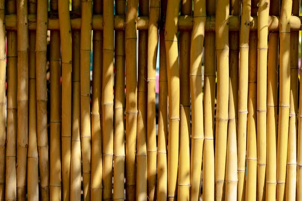 Стена из бамбукового дерева для фона — стоковое фото