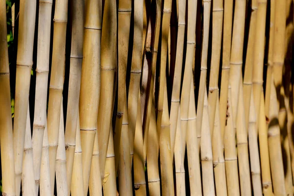 Pared de madera de bambú para fondo — Foto de Stock
