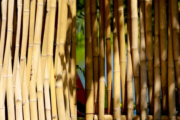 Pared de madera de bambú para fondo — Foto de Stock