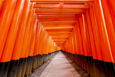Fushimi Inari Tapınağı'ndaki Torii Kapısı ,Kyoto ,Japonya.