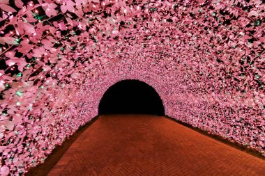 Işık Tüneli : Nabana No Sato,Japonya