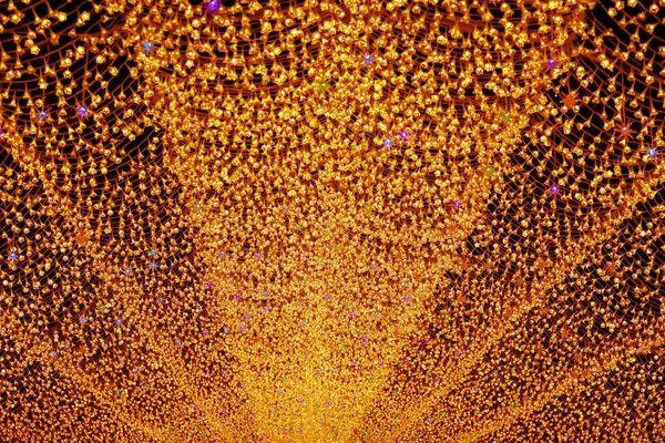 Tunnel of light : Nabana No Sato,Japan