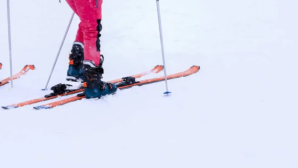 스키어 프리라이더의 스키어 발 다리의 다리를 닫아 닫습니다. — 스톡 사진