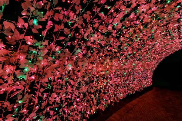 Tunnel av ljus: Nabana ingen Sato, Japan — Stockfoto