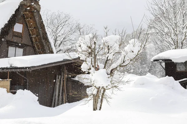 Shirakawago i snön fallande dag: by ligger i Ono dis — Stockfoto