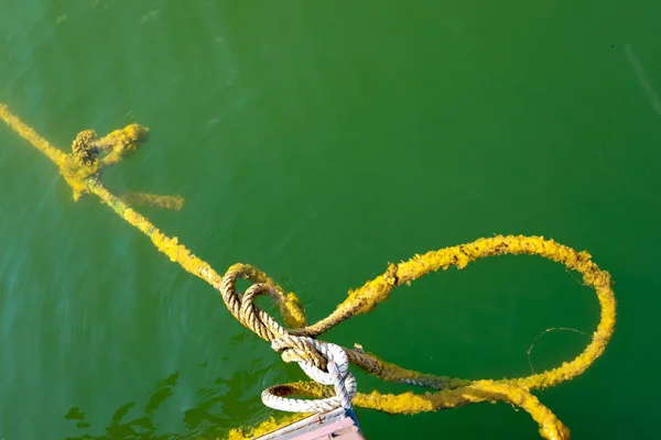 Cuerda en el agua —  Fotos de Stock