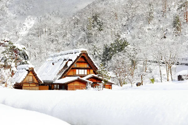 Shirakawago Dorp Gelegen Wijk Ono Gifu Prefecture Japan — Stockfoto