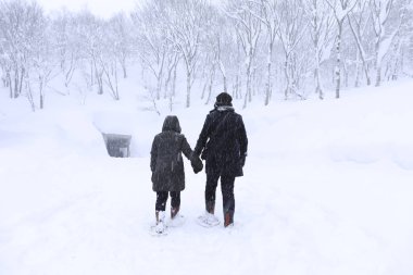 kar üzerinde el ele yürüyen çift sevgilisi, Gala Yuzawa/ Japonya