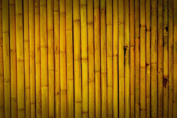 Yellowish brown of bamboo wall — Stock Photo, Image