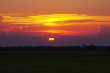 gün batımı ve pirinç yeşil alan , Tayland