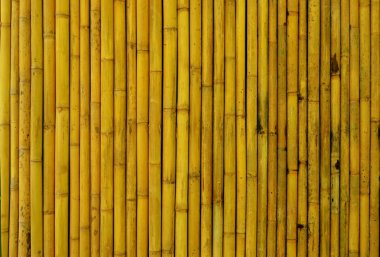 yellowish brown of bamboo wall