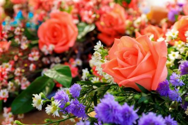 çiçekler çiçek ve arka plan için gül