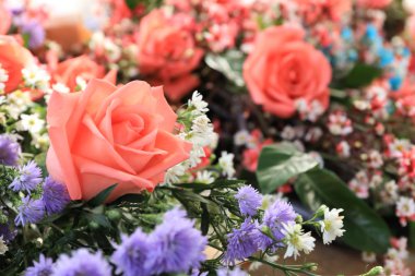 çiçekler çiçek ve arka plan için gül