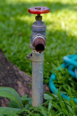 yeşil alanlarda su musluğu
