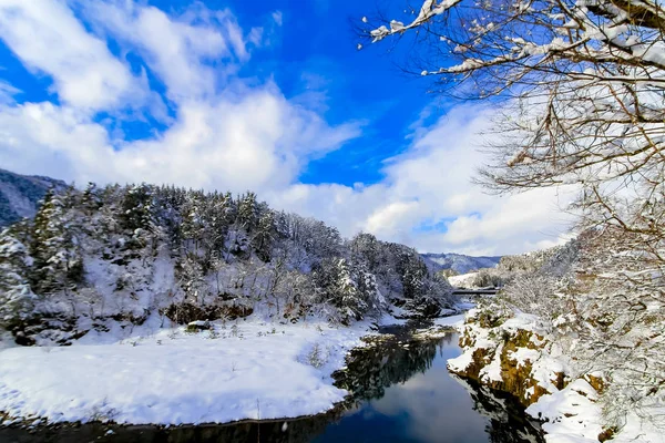 Shirakawago Nella Giornata Caduta Della Neve Villaggio Situato Nel Distretto — Foto Stock