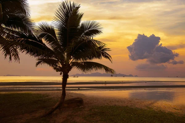 Sonnenuntergang am Strand für natürlichen Hintergrund — Stockfoto