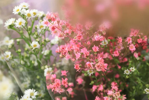 Blomster blomstrer og roser i bakgrunnen – stockfoto