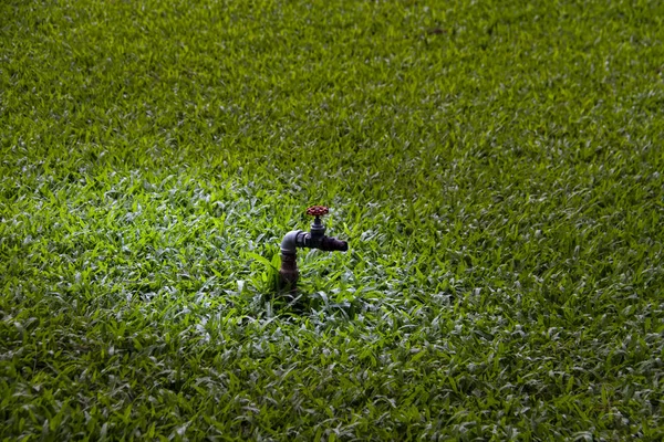 Grifo de agua en los campos verdes —  Fotos de Stock