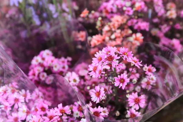 Fleurs fleurissent et rose pour fond — Photo