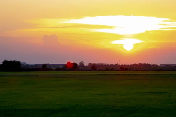 Zonsondergang en de rijst groene veld, Thailand — Stockfoto