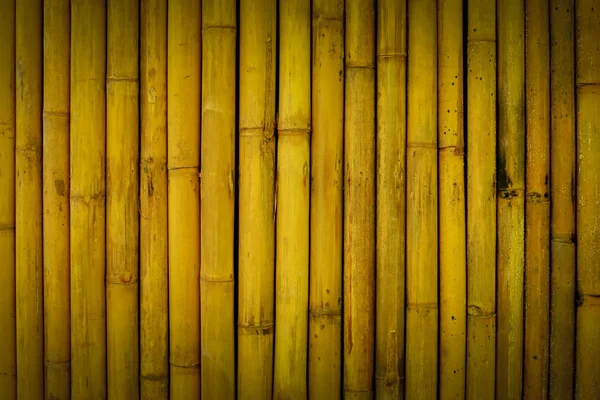 Gelbbraun der Bambuswand — Stockfoto