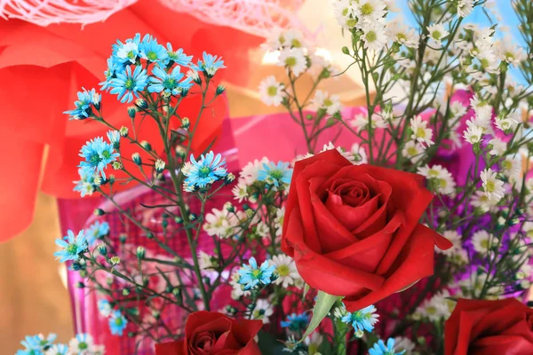 Flowers bloom and rose for background — Stock Photo, Image