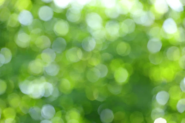 Blurry green circular bokeh cause of defocus of sunlight through