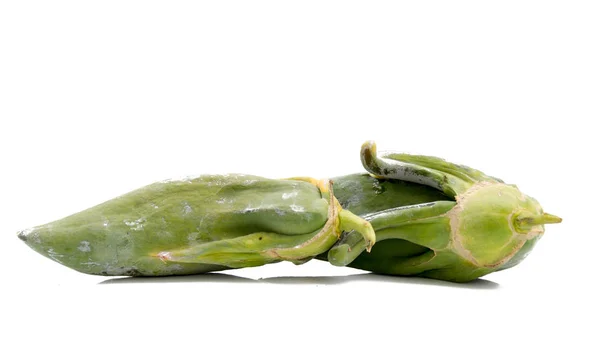 Papaya, pawtlový podivný tvar — Stock fotografie