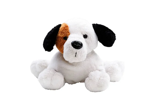 Plush White Dog isolado no fundo branco — Fotografia de Stock