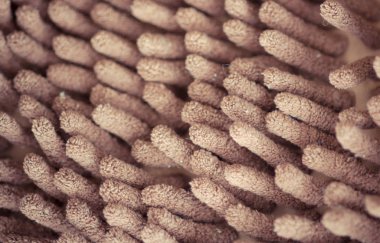 arka plan yumuşak odak mikrofiber kumaş